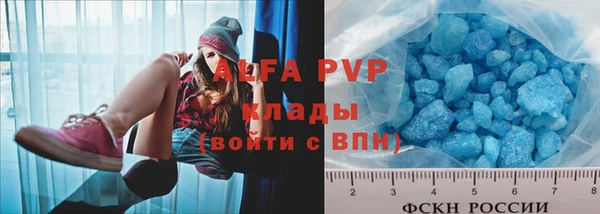 прущие грибы Белокуриха