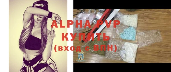 прущие грибы Белокуриха