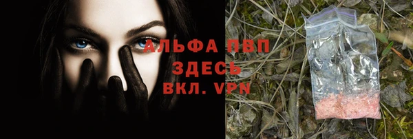 прущие грибы Белокуриха