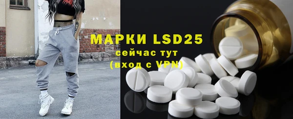 прущие грибы Белокуриха