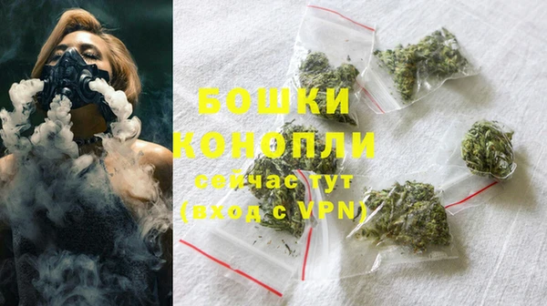 ГАЛЛЮЦИНОГЕННЫЕ ГРИБЫ Белоозёрский