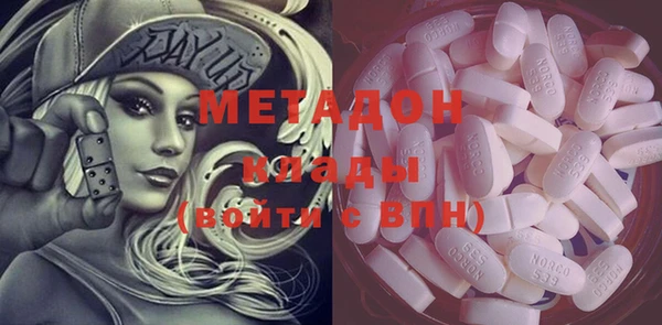 прущие грибы Белокуриха